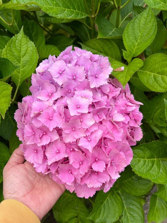 Casa En Treceno 5 Dormitorios Y 2 Plantas Kültér fotó