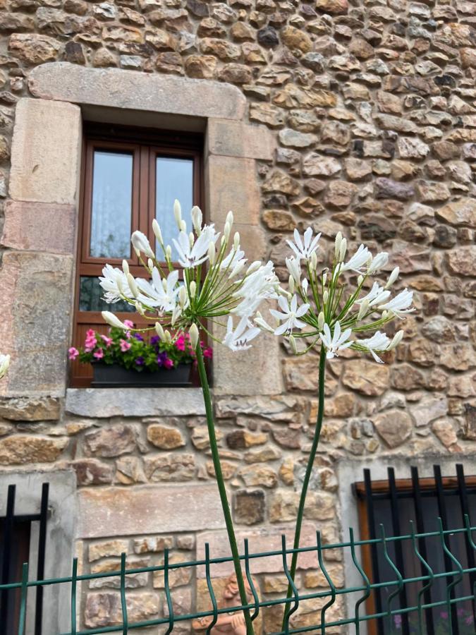 Casa En Treceno 5 Dormitorios Y 2 Plantas Kültér fotó